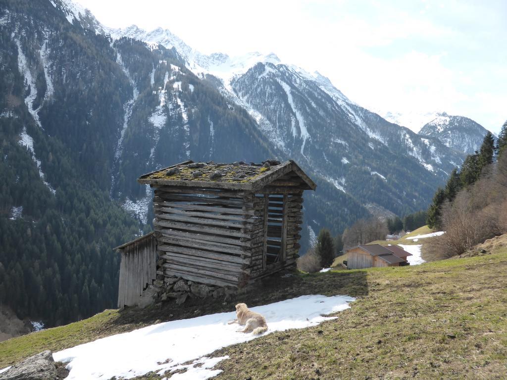 Pension Steinadler Neustift im Stubaital Εξωτερικό φωτογραφία