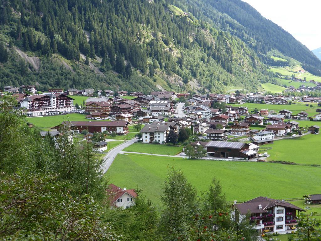 Pension Steinadler Neustift im Stubaital Εξωτερικό φωτογραφία